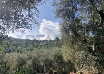 Vista delle montagne - Terreno agricolo Località Lama le Noci, Vieste - foto 5