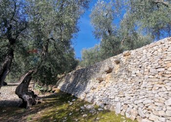 Giardino - Terreno agricolo Località Lama le Noci, Vieste - foto 6