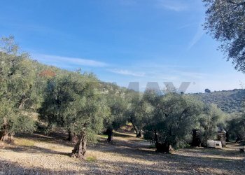Vista delle montagne - Terreno agricolo Località Lama le Noci, Vieste - foto 10