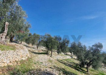 Giardino - Terreno agricolo Località Lama le Noci, Vieste - foto 12