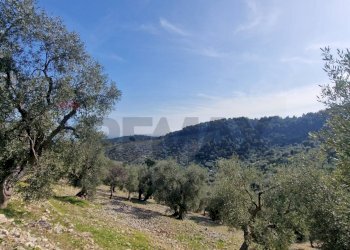 Vista delle montagne - Terreno agricolo Località Lama le Noci, Vieste - foto 13