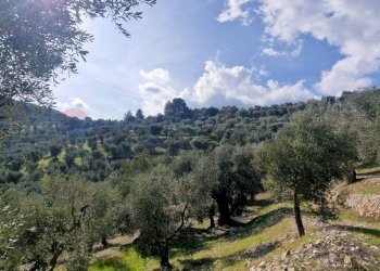 Vista delle montagne - Terreno agricolo Località Lama le Noci, Vieste - foto 14