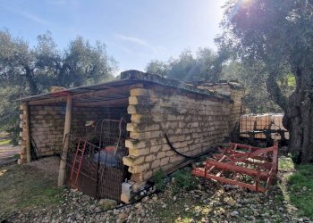 Casa all\'aperto - Terreno agricolo Località Lama le Noci, Vieste - foto 17