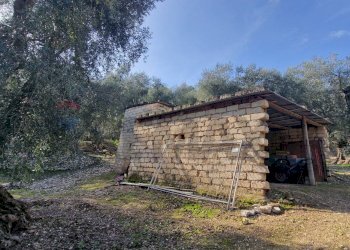 Casa all\'aperto - Terreno agricolo Località Lama le Noci, Vieste - foto 18