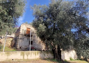 Casa all\'aperto - Terreno agricolo Località Lama le Noci, Vieste - foto 19
