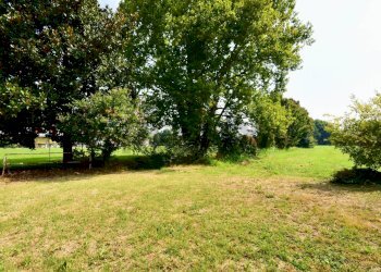 Giardino - Semi-detached house Cascina Tovaiera
 
3, Lodi - photo 15