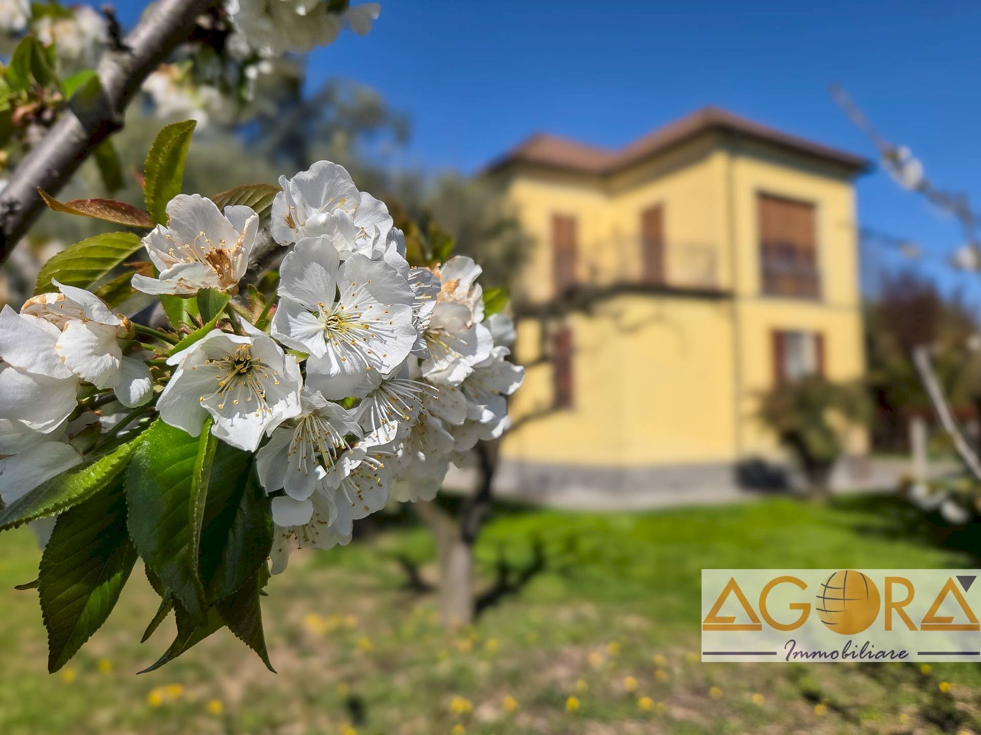 Foto 1 - Casa indipendente Strada Statale per Genova, Tortona - foto 1