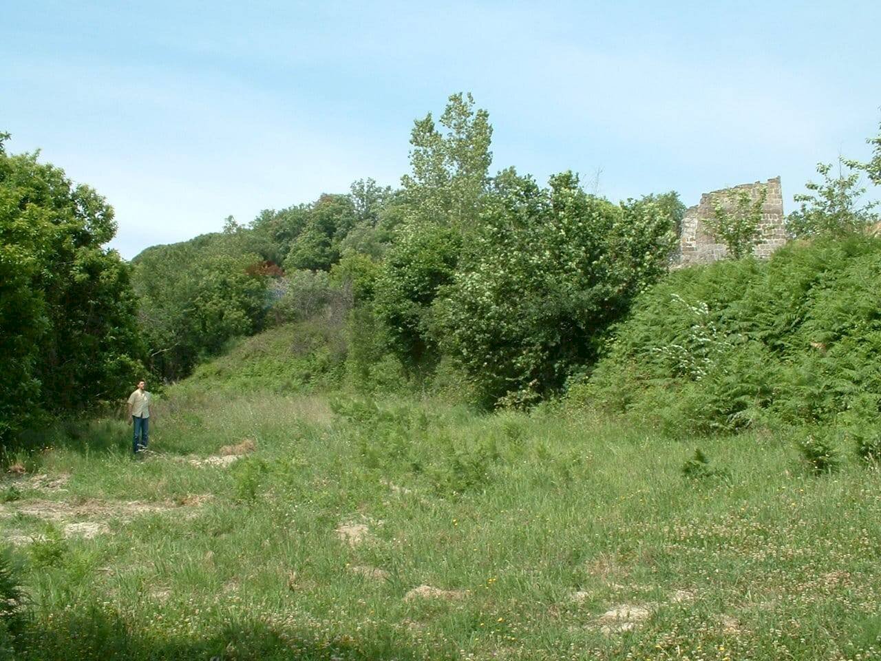 Giardino - Agricultural land Sessa Aurunca - photo 3