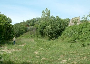 Giardino - Terreno agricolo Sessa Aurunca - foto 4