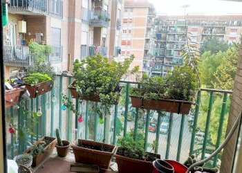 Foto 8 - Trilocale Via Greve, Roma - foto 8