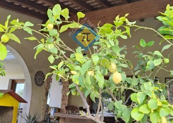 Foto 4 - Villa via Loncon
 
7, Annone Veneto - foto 4