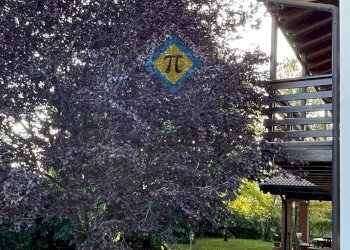 Foto 36 - Villa via Leopardi
 
29, Fontanafredda - foto 36