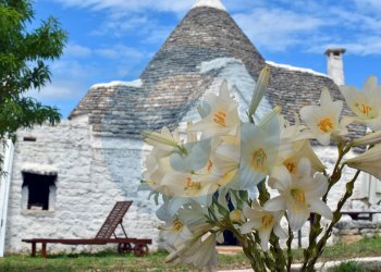 Foto 30 - Casa indipendente Contrada Tagliente, Ceglie Messapica - foto 30