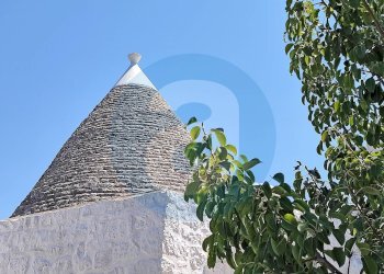 Foto 32 - Casa indipendente Contrada Tagliente, Ceglie Messapica - foto 32