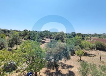 Foto 39 - Casa indipendente Contrada Tagliente, Ceglie Messapica - foto 39