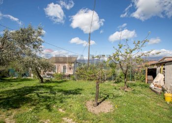 Giardino - Casa semi indipendente Lettomanoppello - foto 21