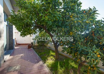 Foto 15 - Stabile - Palazzo Via Crisologo
 
44, Pescara - foto 15