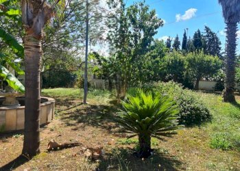 Giardino - Villa Surbo - foto 32