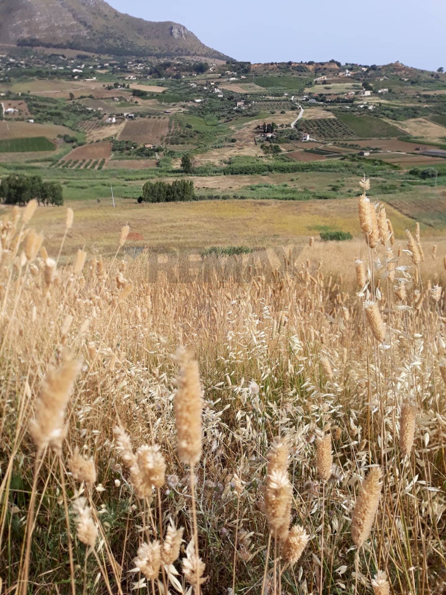 Vista delle montagne - Terreno agricolo contrada gorga, 91013, Calatafimi-Segesta - foto 1