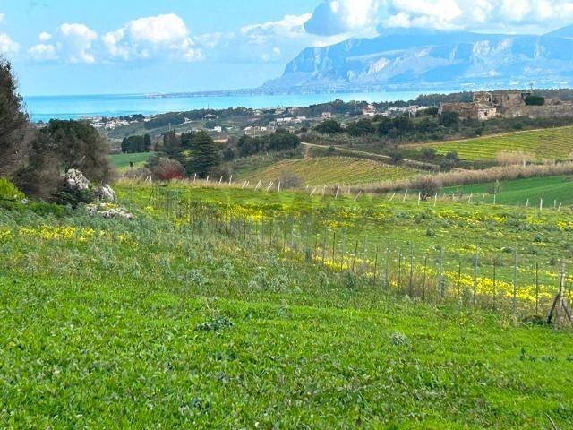 Vista delle montagne - Terreno agricolo contrada gorga, 91013, Calatafimi-Segesta - foto 3