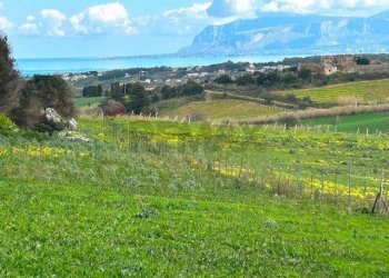 Vista delle montagne - Terreno agricolo contrada gorga, 91013, Calatafimi-Segesta - foto 3