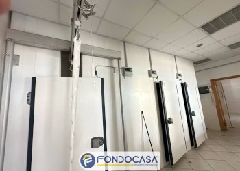 Foto 23 - Commercial Premises VIA TRE OTTOBRE
5, Ascoli Piceno - photo 23