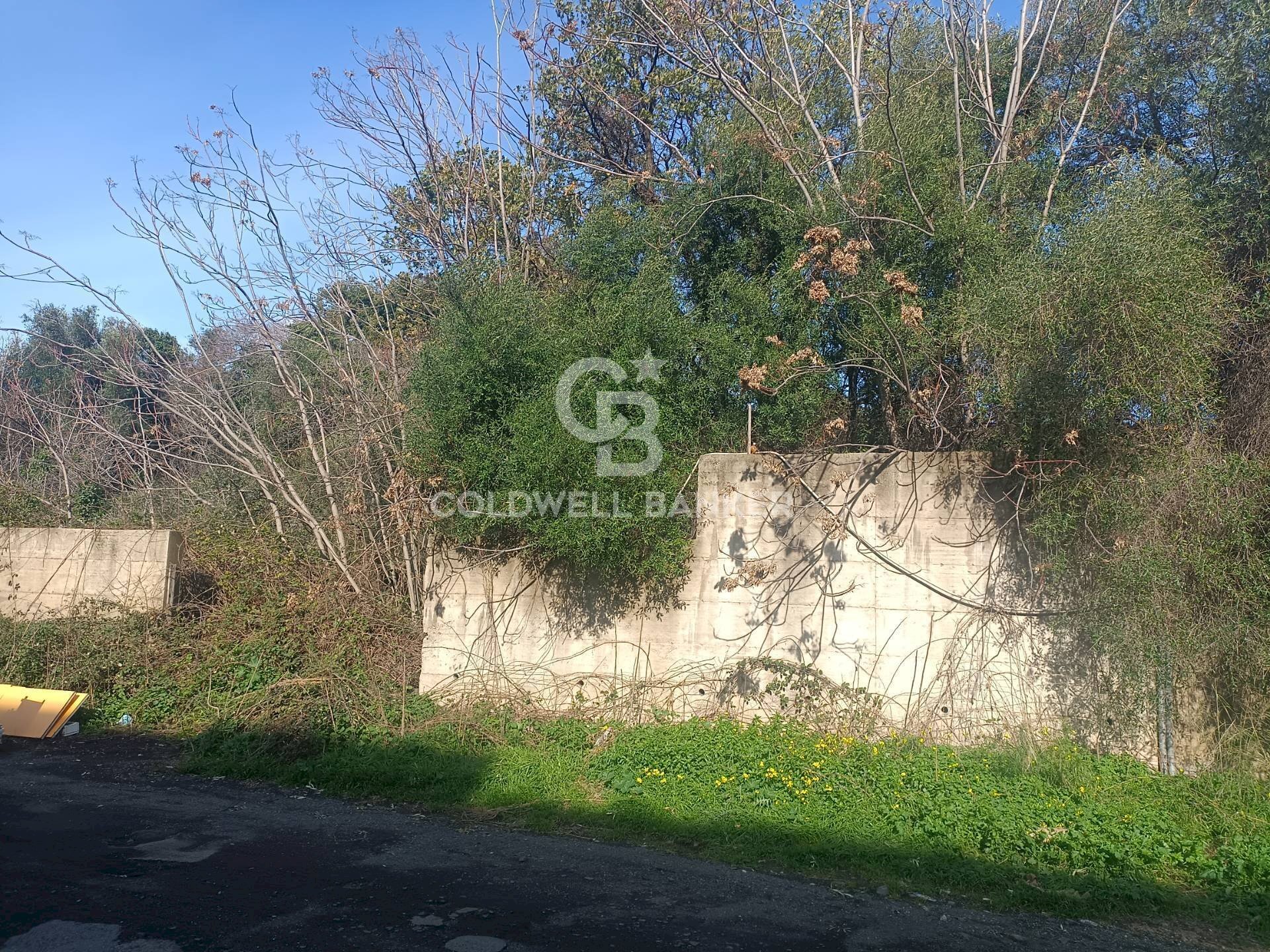 Foto 2 - Agricultural land via degli Argentieri Acesi, Acireale - photo 2