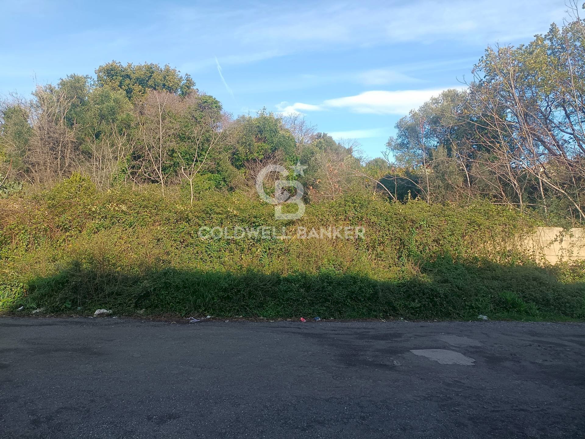 Foto 3 - Agricultural land via degli Argentieri Acesi, Acireale - photo 3