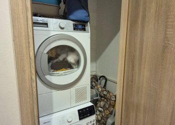 Foto 9 - Trilocale Via Della Conciliazione, Piacenza - foto 9