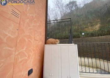 Foto 31 - Quadrilocale VIA TOSCANA, Cupra Marittima - foto 31