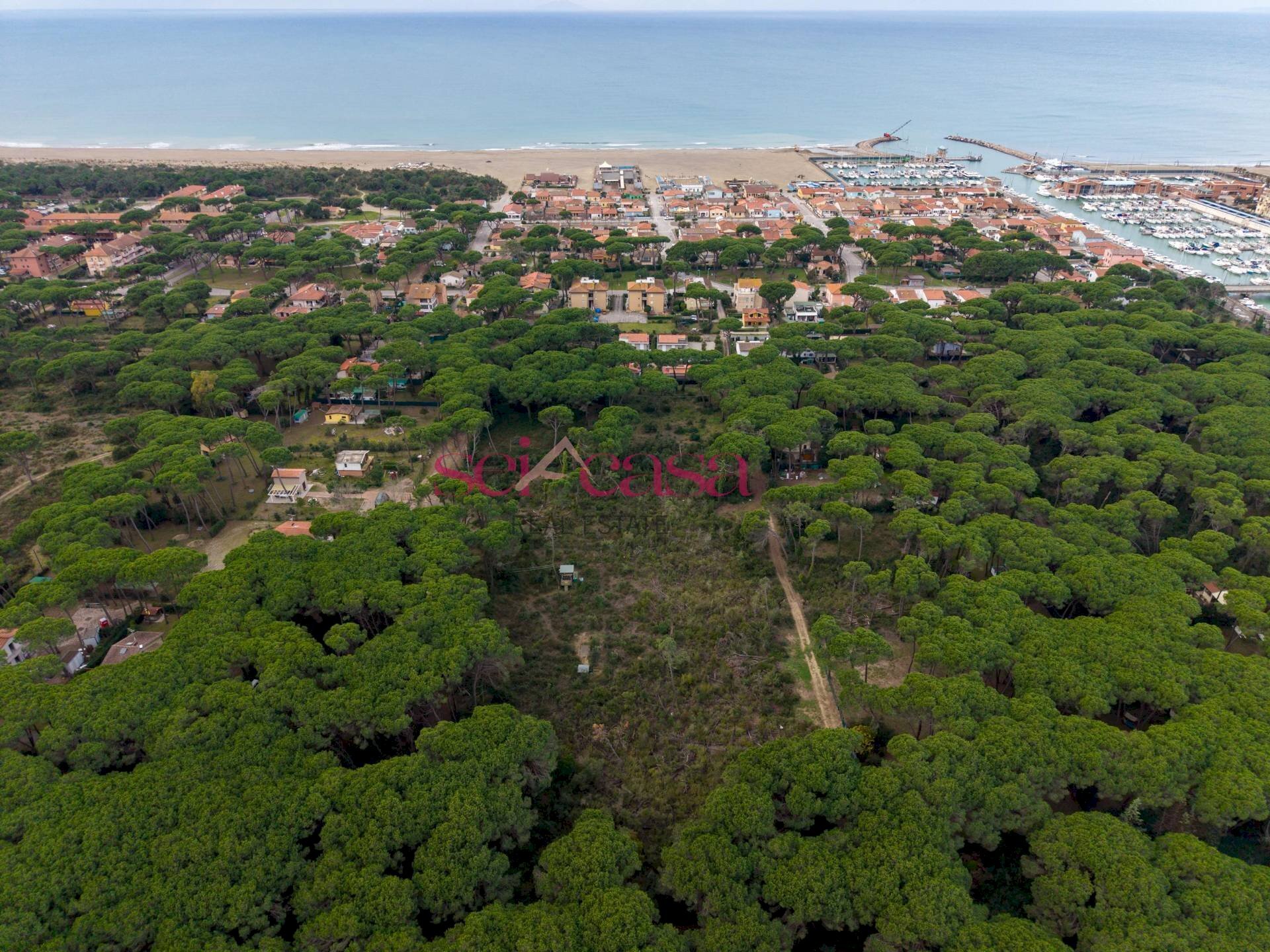 Foto 1 - Terreno agricolo Grosseto - foto 1