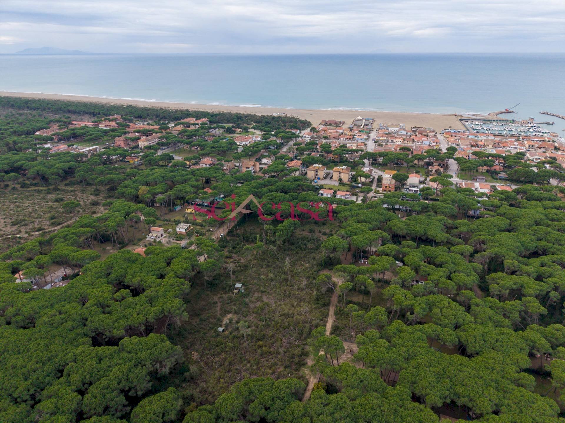 Foto 2 - Terreno agricolo Grosseto - foto 2