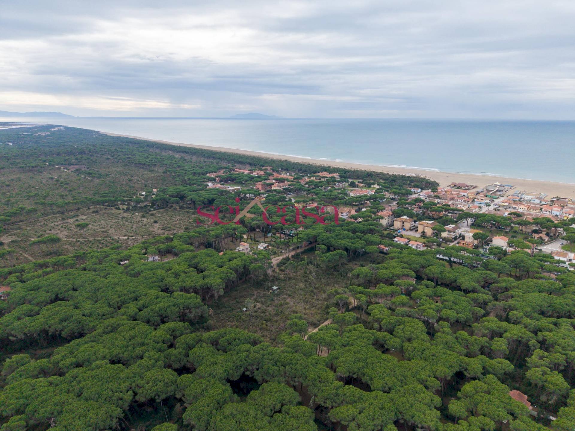 Foto 3 - Terreno agricolo Grosseto - foto 3