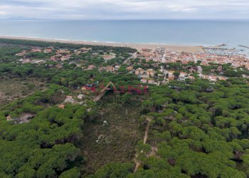 Foto 2 - Terreno agricolo Grosseto - foto 2