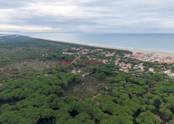 Foto 3 - Terreno agricolo Grosseto - foto 3