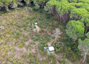 Foto 4 - Terreno agricolo Grosseto - foto 4