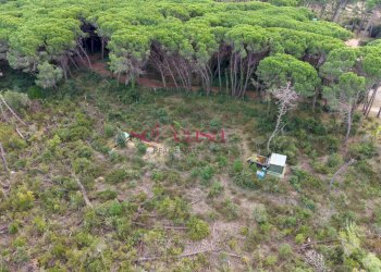 Foto 5 - Terreno agricolo Grosseto - foto 5