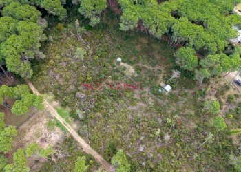 Foto 6 - Terreno agricolo Grosseto - foto 6