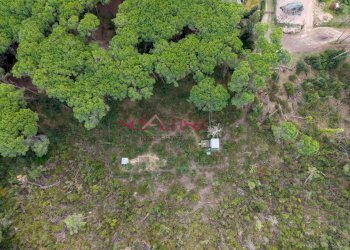 Foto 7 - Terreno agricolo Grosseto - foto 7