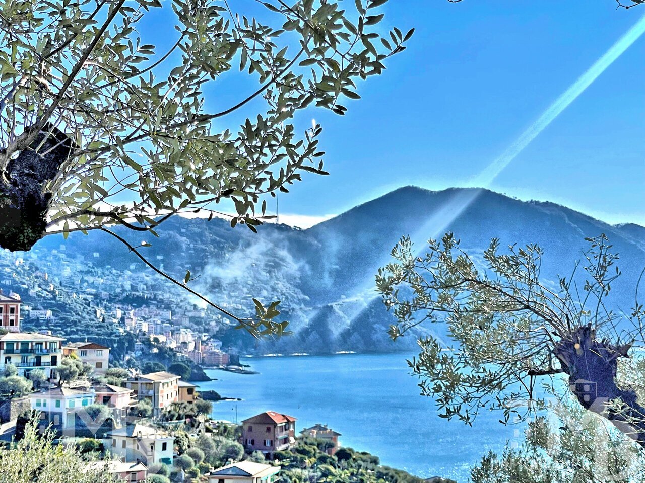 PANORAMA CAMOGLI MONTE PORTOFINO - Independent house VIA DEL CASTELLO 32, Recco - photo 2