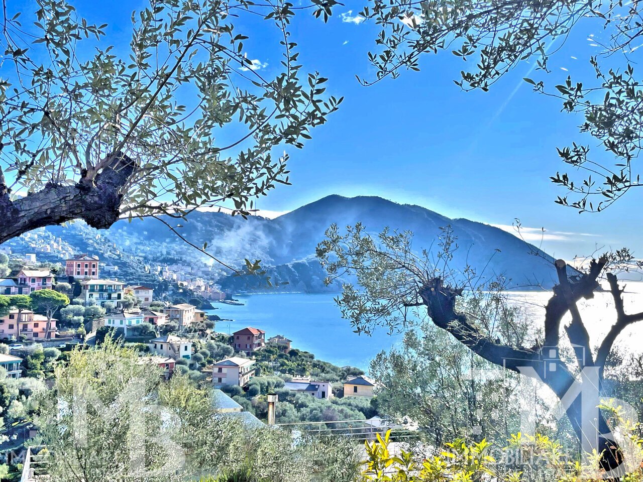 PANORAMA CAMOGLI MONTE PORTOFINO - Independent house VIA DEL CASTELLO 32, Recco - photo 3