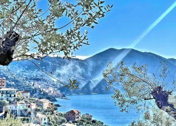 PANORAMA CAMOGLI MONTE PORTOFINO - Casa indipendente VIA DEL CASTELLO 32, Recco - foto 2