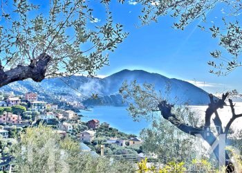 PANORAMA CAMOGLI MONTE PORTOFINO - Casa indipendente VIA DEL CASTELLO 32, Recco - foto 3