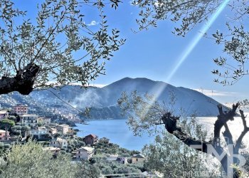 PANORAMA CAMOGLI MONTE PORTOFINO - Casa indipendente VIA DEL CASTELLO 32, Recco - foto 4