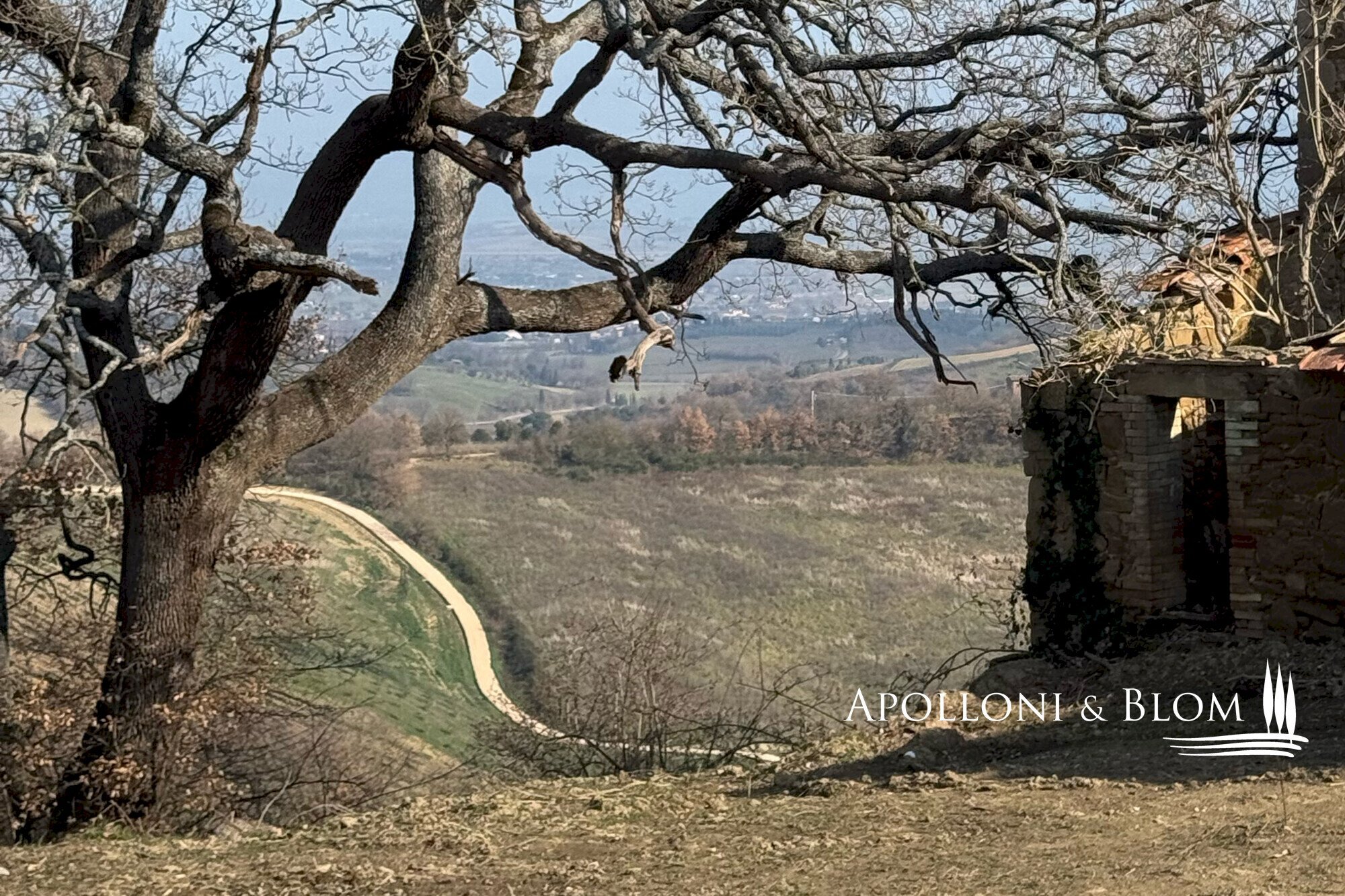 Casale Torrita di Siena - foto 2