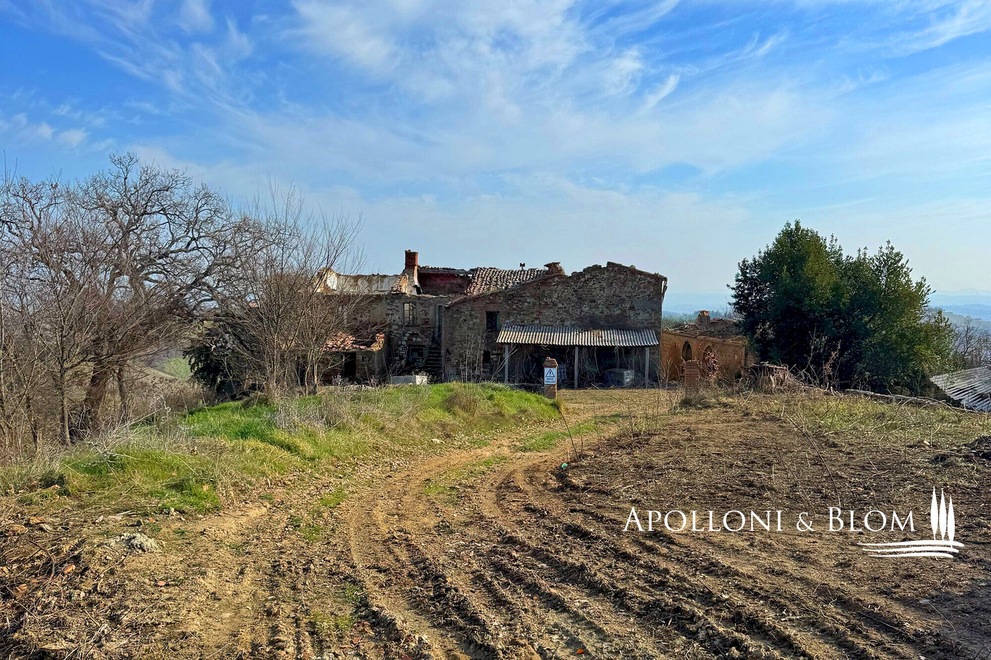 Casale Torrita di Siena - foto 3