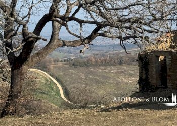 Casale Torrita di Siena - foto 2