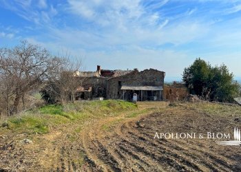Casale Torrita di Siena - foto 3