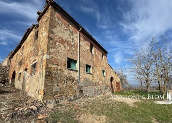 Casale Torrita di Siena - foto 5