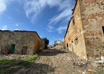Casale Torrita di Siena - foto 7